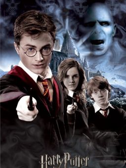 Harry Potter ve Zümrüdüanka Yoldaşlığı izle