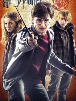 Harry Potter 7 Ölüm Yadigarları Bölüm 1