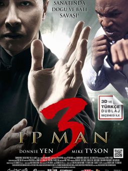 Ip Man 3 Türkçe Dublaj İzle