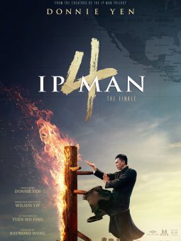 Ip Man 4 Final Türkçe Dublaj İzle