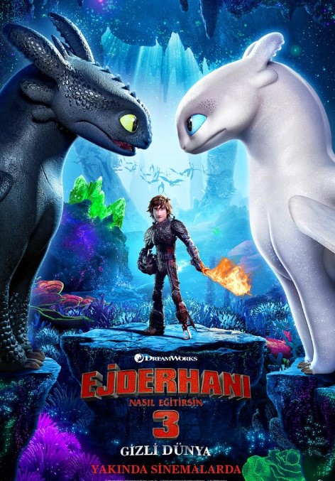 Ejderhanı Nasıl Eğitirsin 3