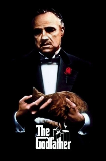 The Godfather 1