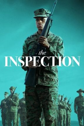 The Inspection