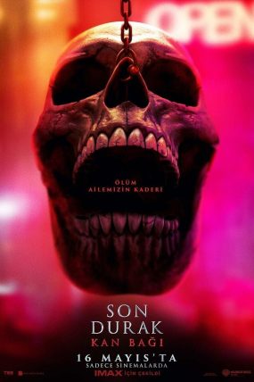 11.6 izle