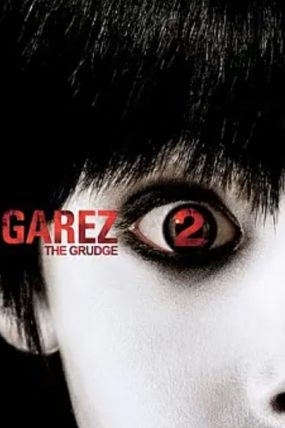 11.6 izle