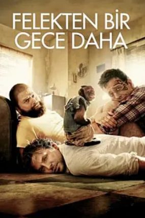11.6 izle