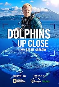 Dolphins Up Close with Bertie Gregory