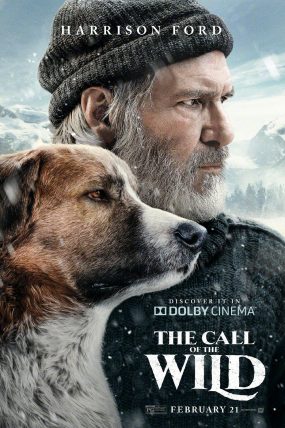 11.6 izle